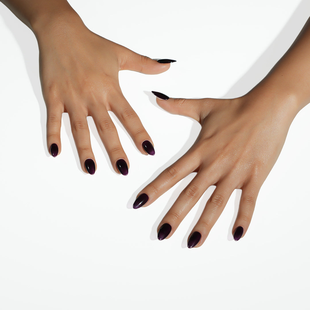 Cocoa Luxe
