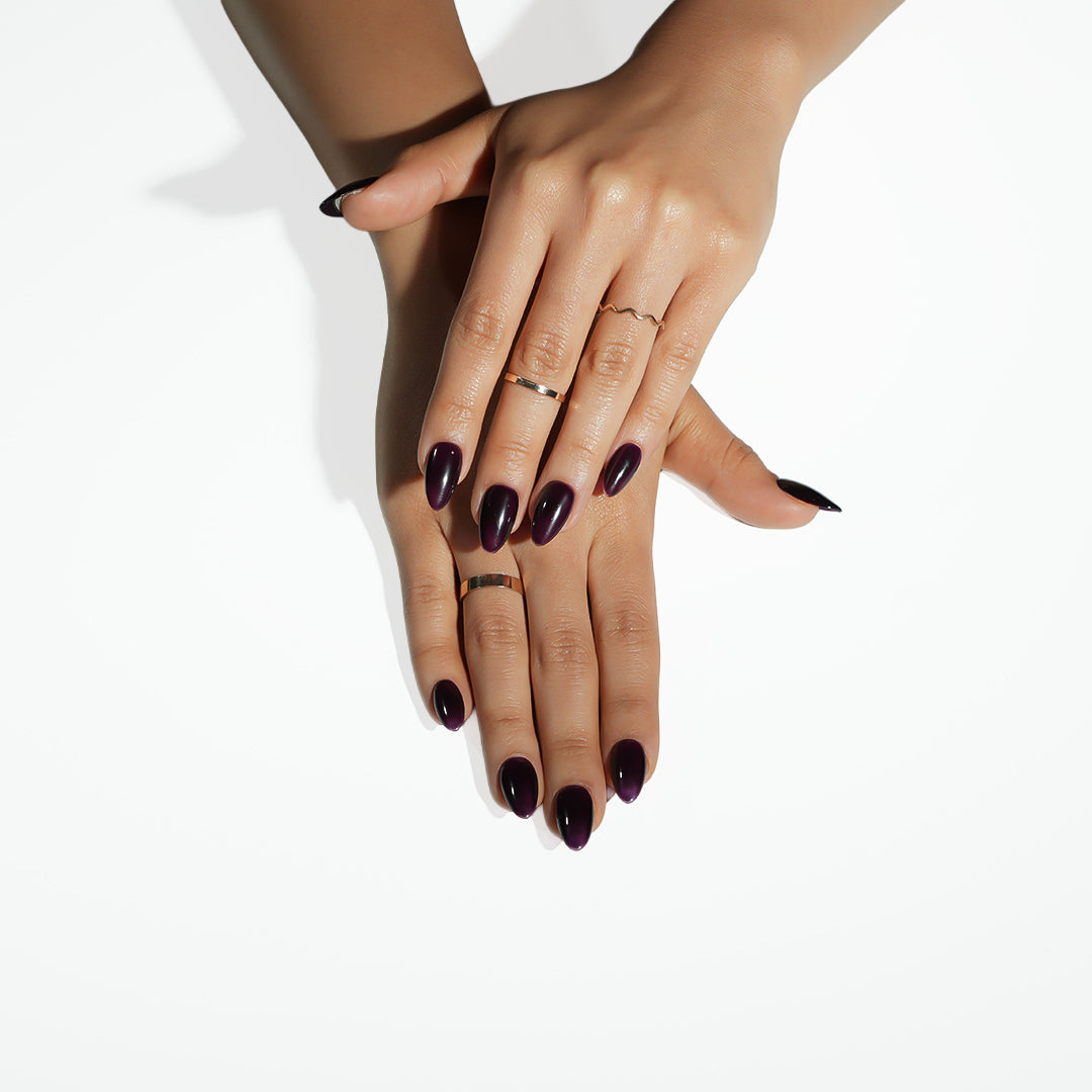 Cocoa Luxe
